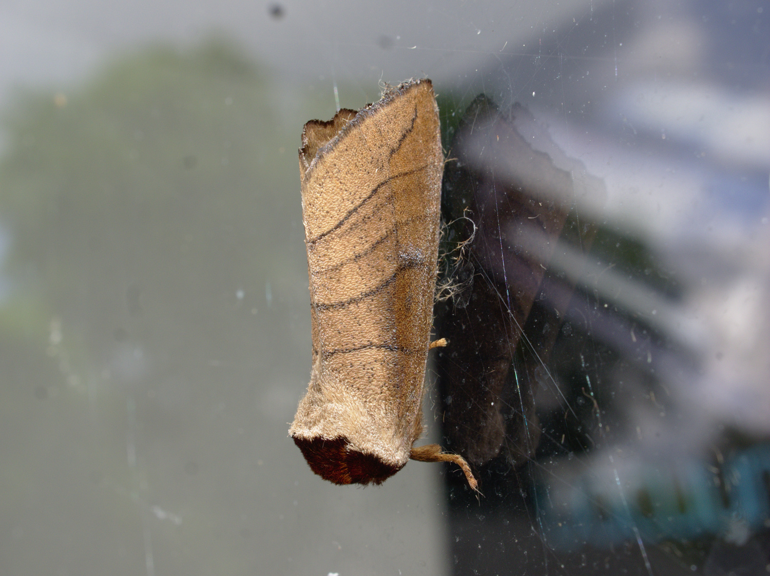 A guy from 6-3_20200619.jpg